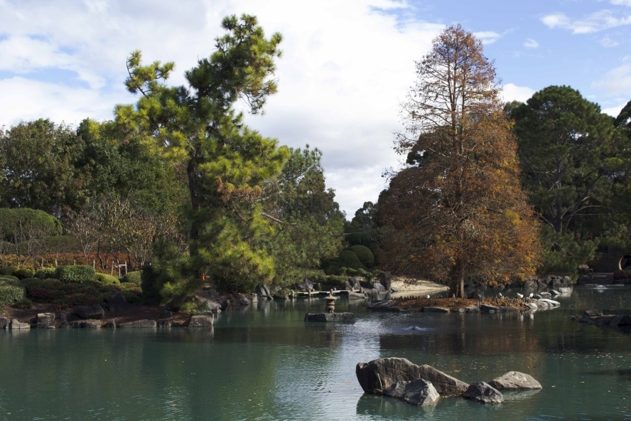 Auburn Japanese Gardens in Autumn