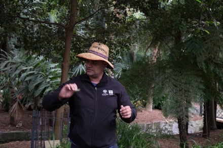 Aboriginal Guide leading tour of Aboriginal Heritage Tour at Sydney's Botanic Gardens
