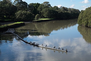 Boat Harbour Boom Cooks River
