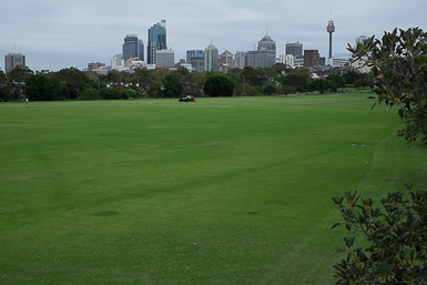 City Views from Moore Park