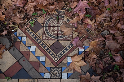 Federation tiles and autumn leaves