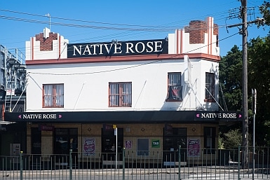 The Native Rose