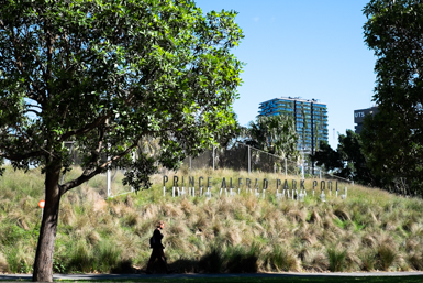 Prince Alfred Park