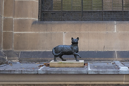 Matthew Flinder's Cat Trim