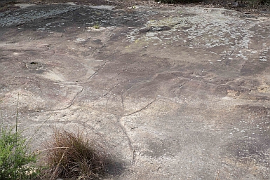 Aboriginal Carving Waverton